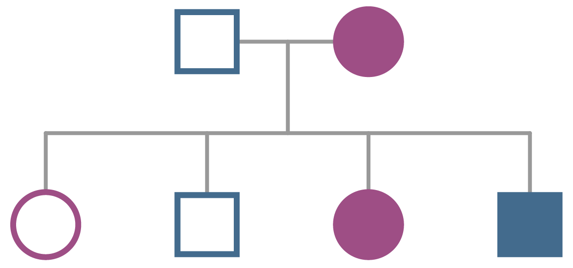 Fabry disease diagram of segregation of X-linked trait (hemizygous mother)