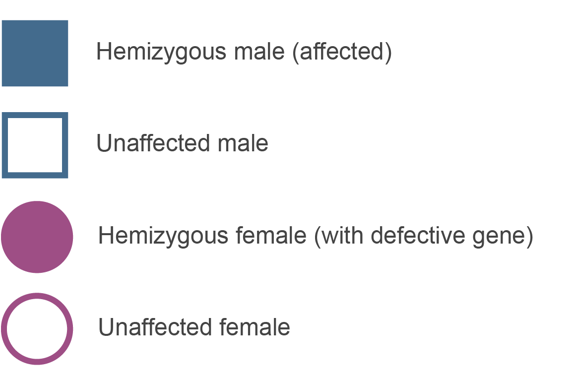 Fabry disease key for segregation of X-linked trait - mobile