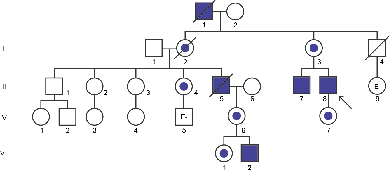 Pedigree Diagram