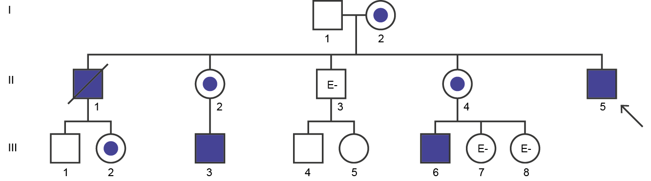 Fabry disease pedigree analysis case study 2