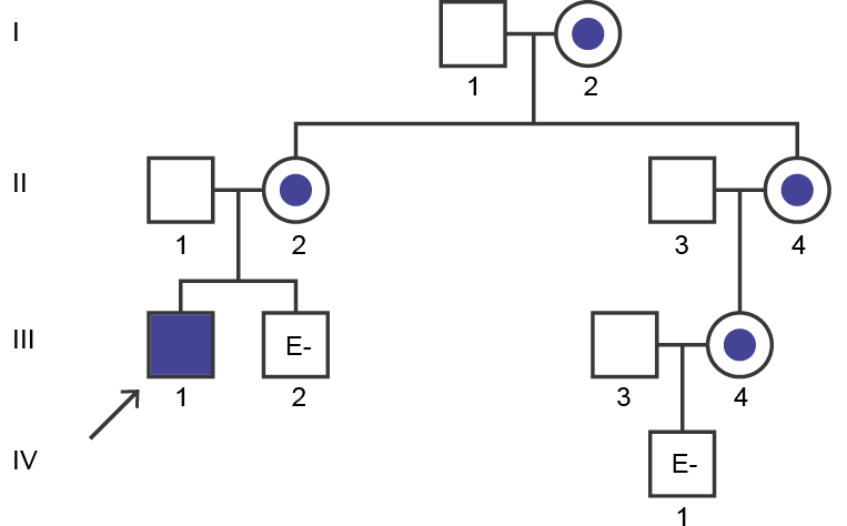 Fabry disease pedigree analysis case study 3 - mobile